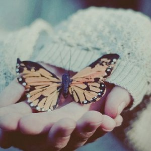 得吃·org官网登录入口
